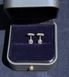 Срібні пусети з муасанітами Emerald Cut 0.5ct 1902-1 фото 3