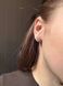 Срібні пусети з муасанітами Серце по 0.5 ct та інкрустацією 18213 фото 2