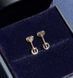 Золоті пусети з муасанітами по 0.5ct 18161 фото 1